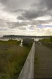 Walkway Cardiff bay nature reserve