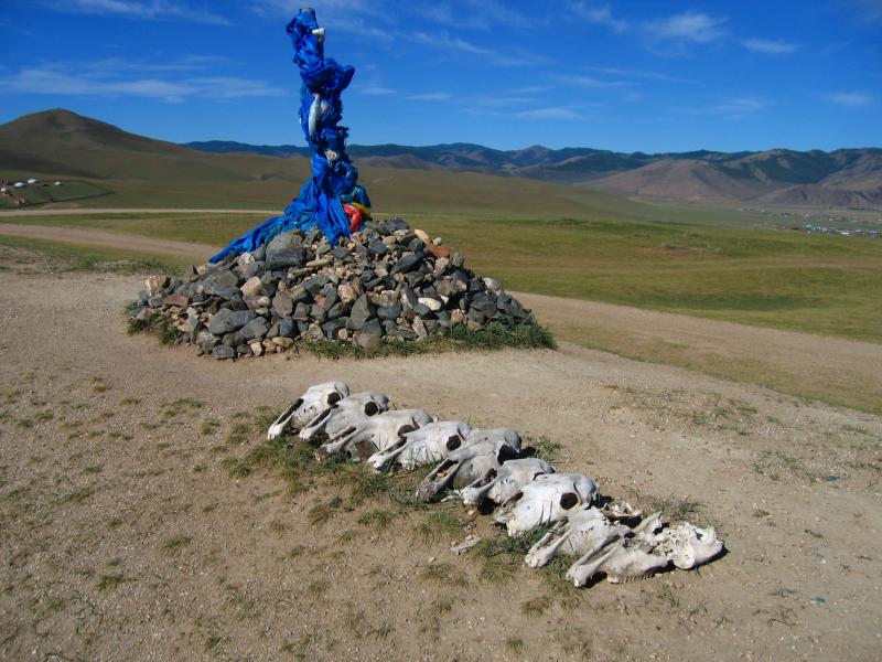 Ovoo and horse skulls