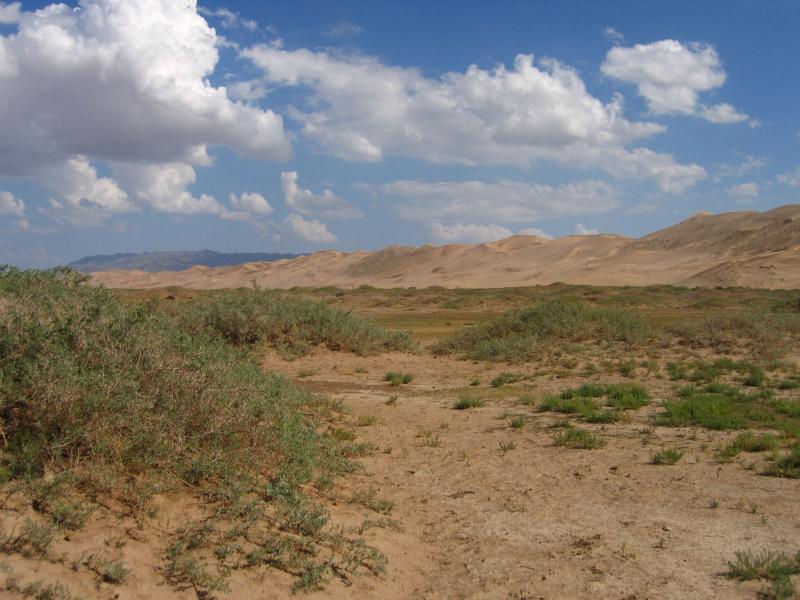 A long stretch of sand