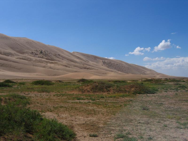 View westwards