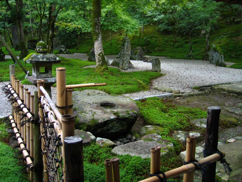 Contemplative moss and rock garden