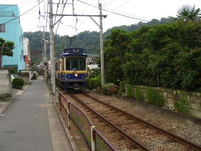 v3/97/490897/3/46486282.IMG_0071.jpg