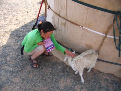 Befriending a young goat