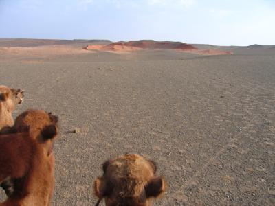 By camel to the cliffs