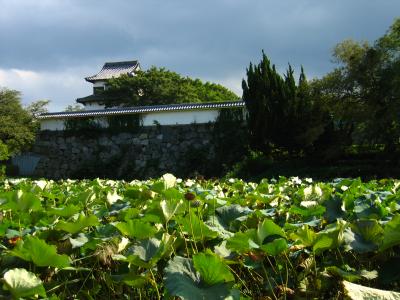 The walls of Fukuoka-jō