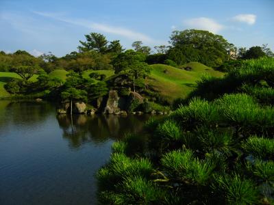 Garden view