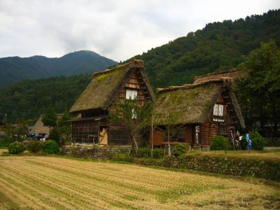Farmhouses and fields in central Ogimachi