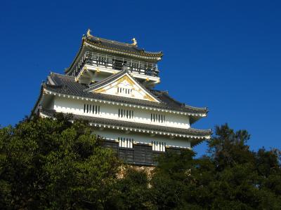 Gifu-jō