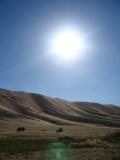 Below the desert sun