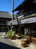 Corner store with drying persimmons