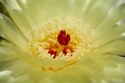 DSC_9271a.jpg