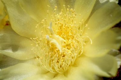 DSC_9272a.jpg