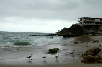 DSC_0360a.jpg