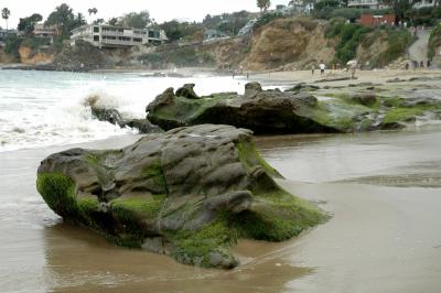 DSC_0377a.jpg