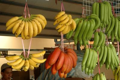 Variation of bananas