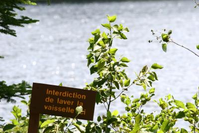Fête à Dan au camping de Mont Tremblant 2005