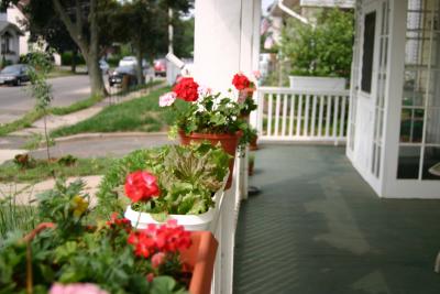 Front Flower/Herb Boxes