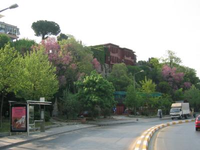 salacak