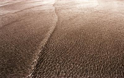 Elephant Skin - Cannon Beach