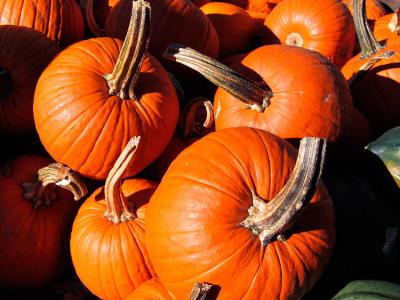 Pumpkins- Union Square