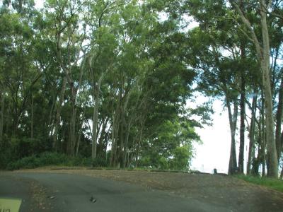 Day 6 - Tantalus Drive