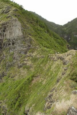 Hawai'i