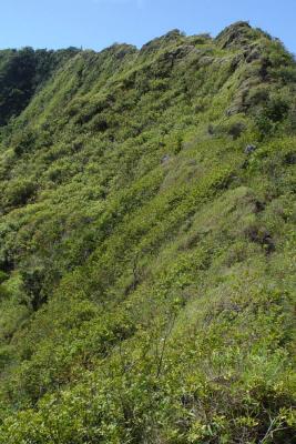 the ridge up then to the left, 