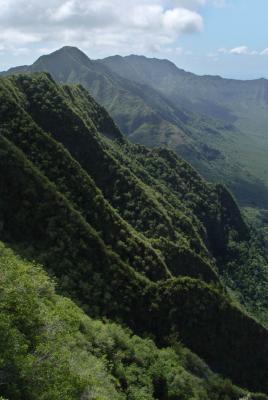 further along the ridge, moving south, the 'pali'/cliff