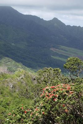 Hawai'i