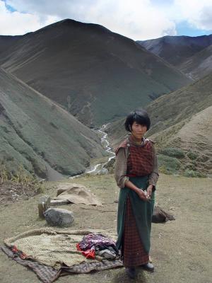 Economy of Yak Herders, Bhutan Studies