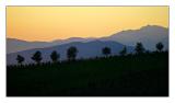 Tuscany skyline