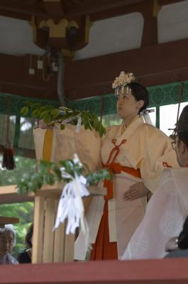 CRW_9204.jpg