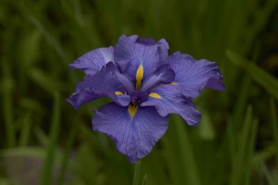 CRW_9247.jpg