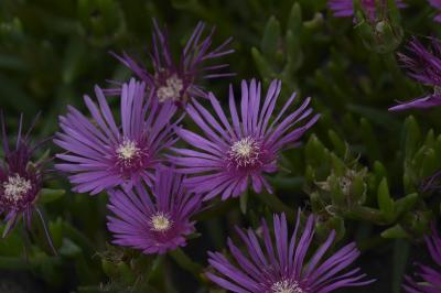 CRW_9255.jpg