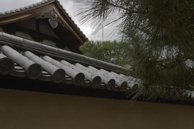 CRW_9863.jpg