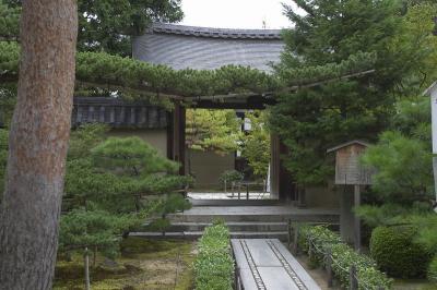 CRW_9879.jpg