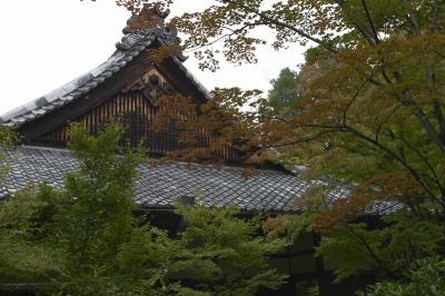 CRW_9887.jpg