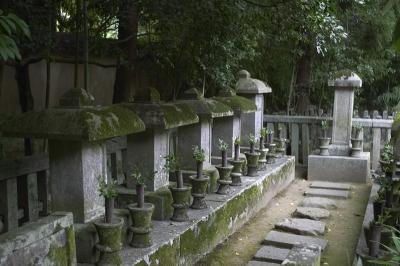 CRW_9889.jpg