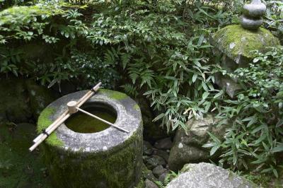 CRW_9891.jpg