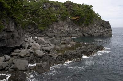 CRW_9851.jpg