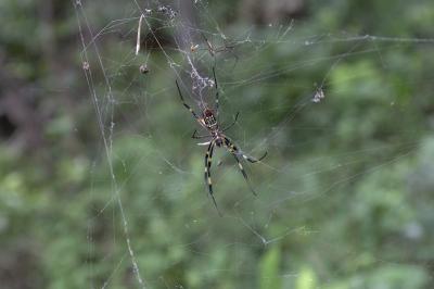 CRW_9856.jpg