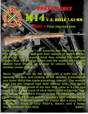 M14p1.jpg