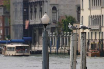 venise 2005img_242872 dpi.jpg