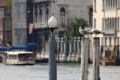 Venise 2005IMG_242872 dpi72 dpi.jpg