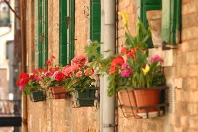 Venise 2005IMG_244172 dpi72 dpi.jpg