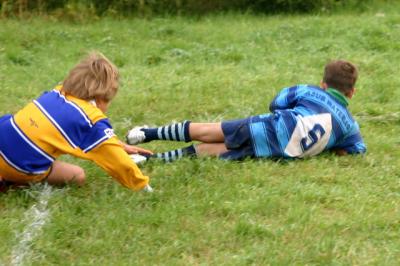 IMG_4007.jpg