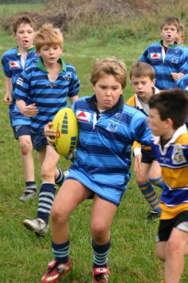 IMG_4008.jpg