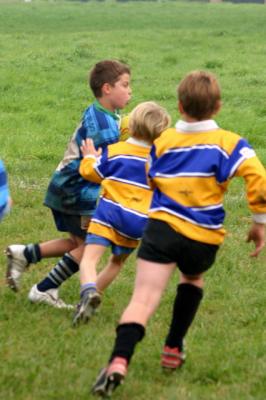 IMG_4054.jpg