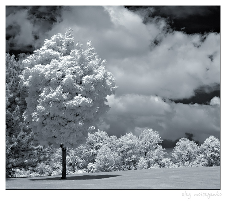 The infrared summer or... nuclear winter?