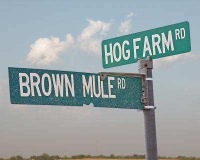 Brown Mule Rd